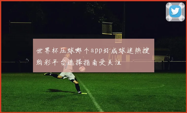 世界杯压球哪个app好成球迷热搜 购彩平台选择指南受关注